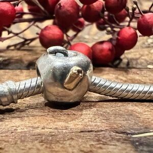 Authentic Pandora Two Tone  Apple and Worm Charm 14K Solid Gold & Sterling  925
